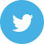 Twitter Social Media Icon Image